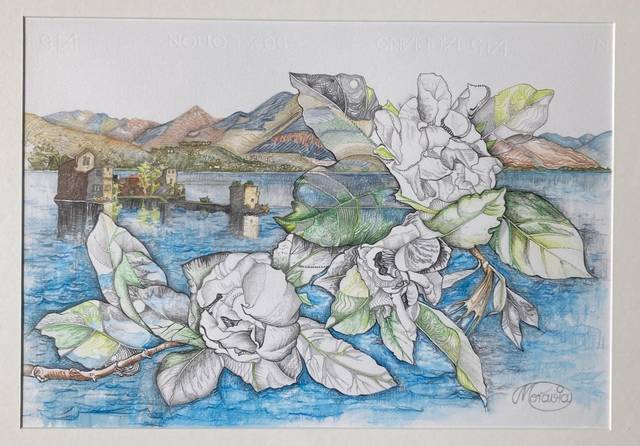 Gardenien vor Lago Maggiore – Karin Steffek-Moravia – Blei- und Buntstiftzeichnung, aquarelliert