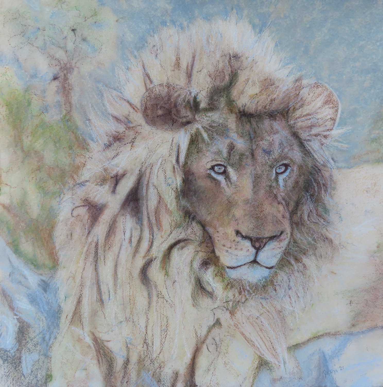 Samson – Jacklyn Gratzfeld – Pastell