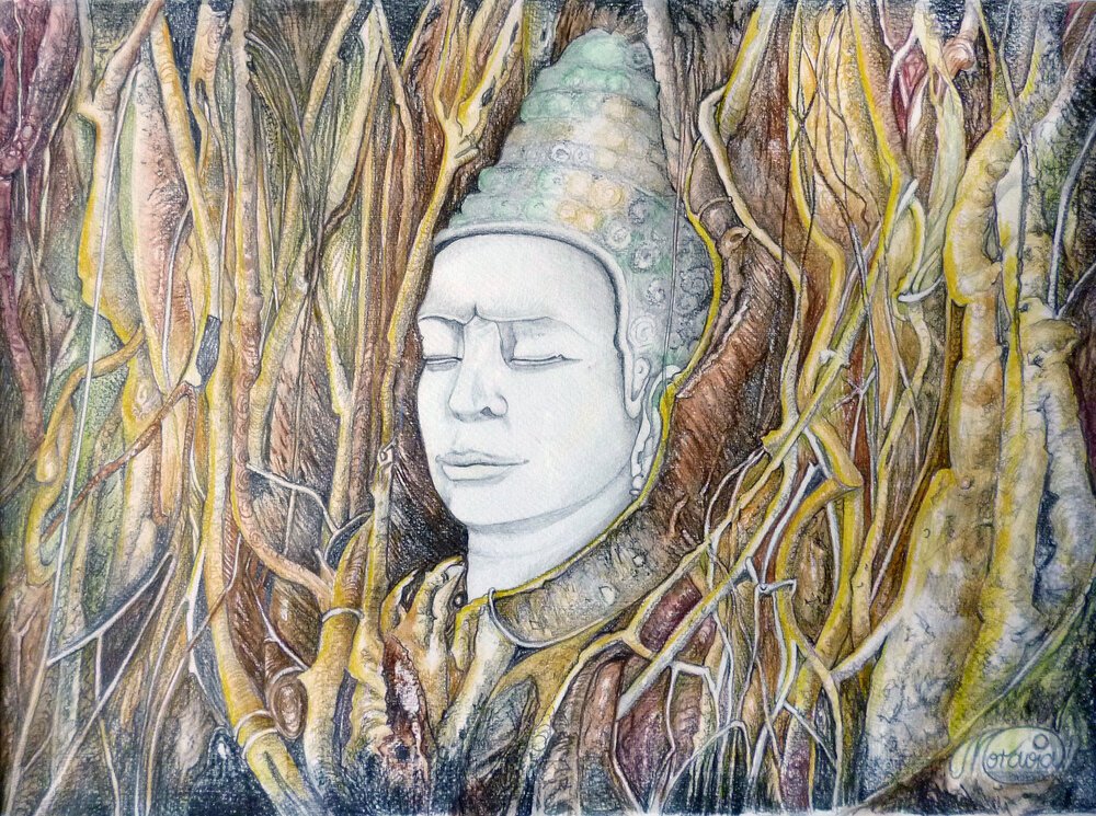 Natur umschlingt Weisheit – Karin Steffek-Moravia – Blei- und Buntstiftzeichnung, aquarelliert