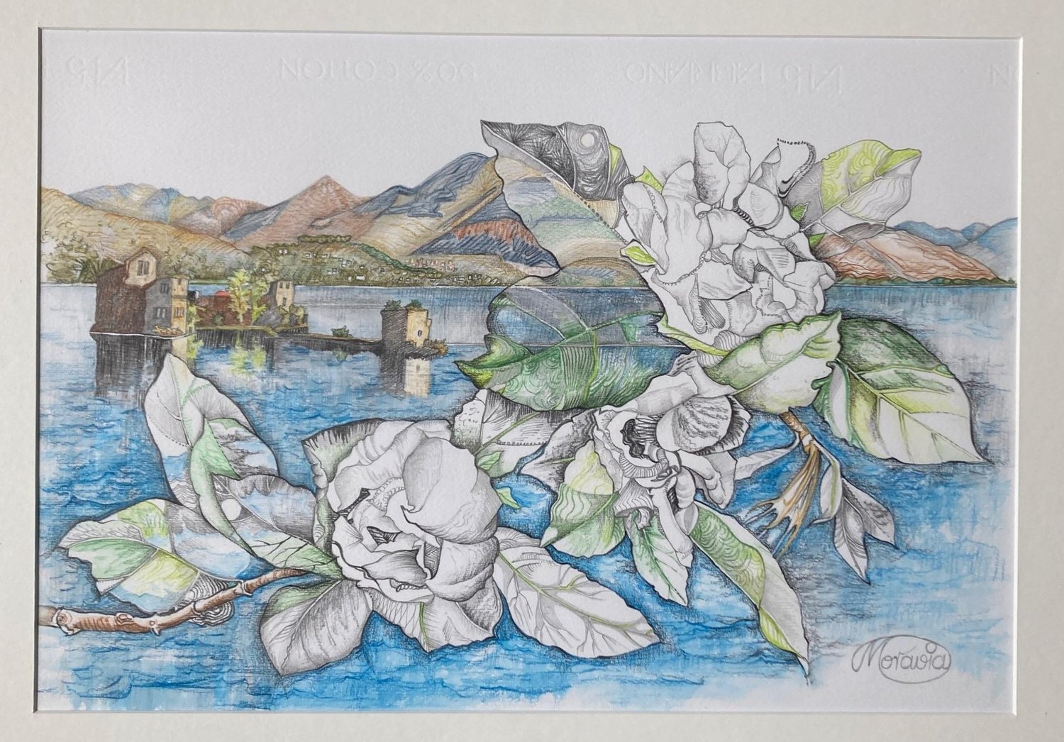 Gardenien vor Lago Maggiore – Karin Steffek-Moravia – Blei- und Buntstiftzeichnung, aquarelliert